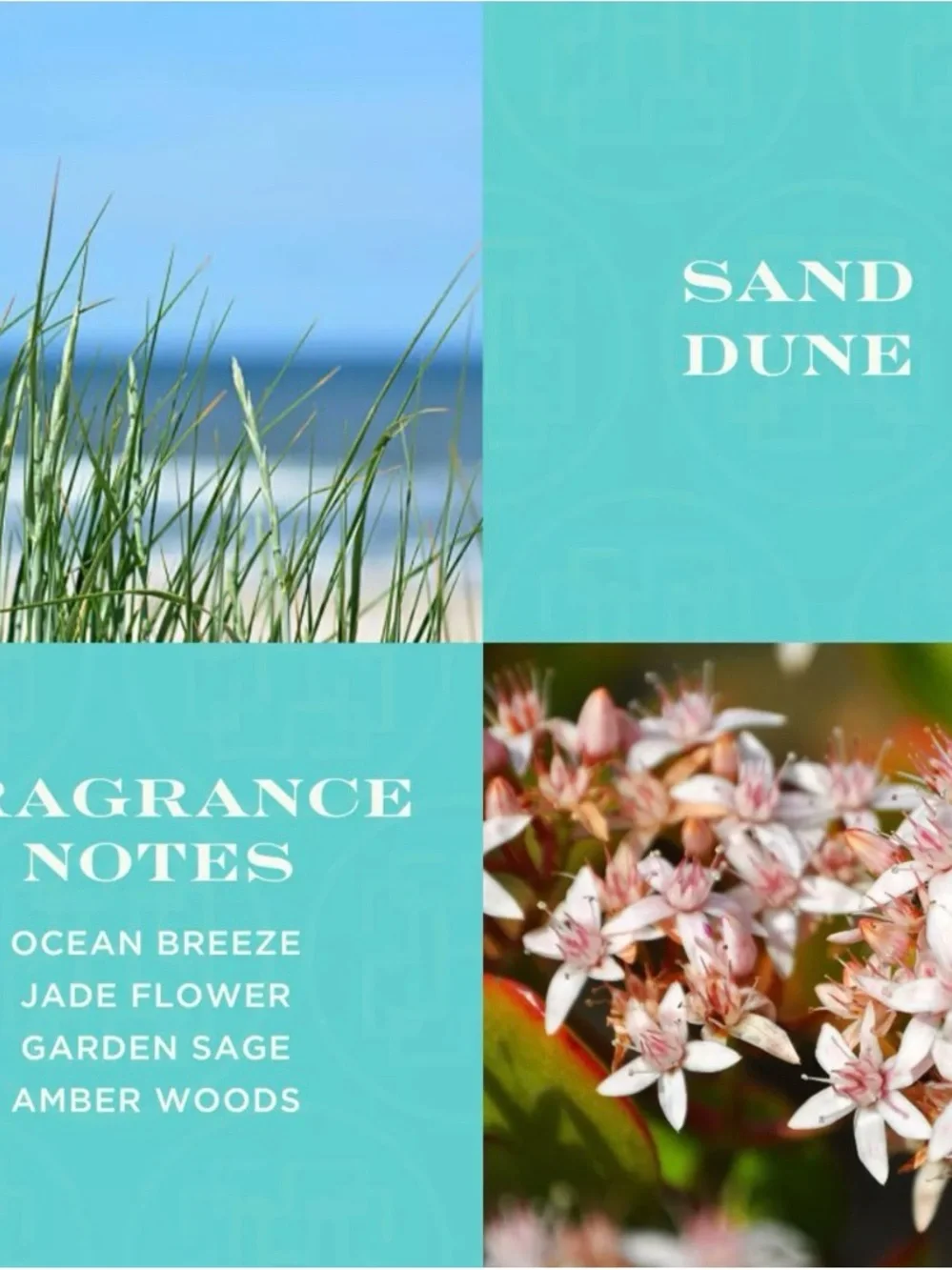 Homeworx by Slatin and Co. Sand Dune Reed Diffuser